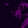 Wildlife Prints & Fauna Art on Canvas