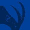 Wildlife Prints & Fauna Art on Canvas