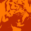 Wildlife Prints & Fauna Art on Canvas