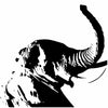 Wildlife Prints & Fauna Art on Canvas
