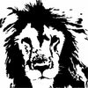 Wildlife Prints & Fauna Art on Canvas