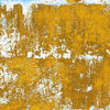 Fine Art Canvas Print