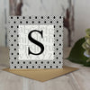Monogram Canvas Mini Print