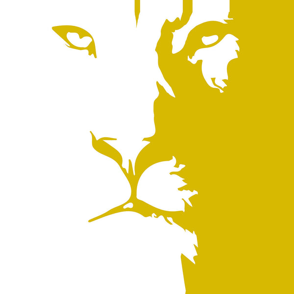 Wildlife Prints & Fauna Art on Canvas