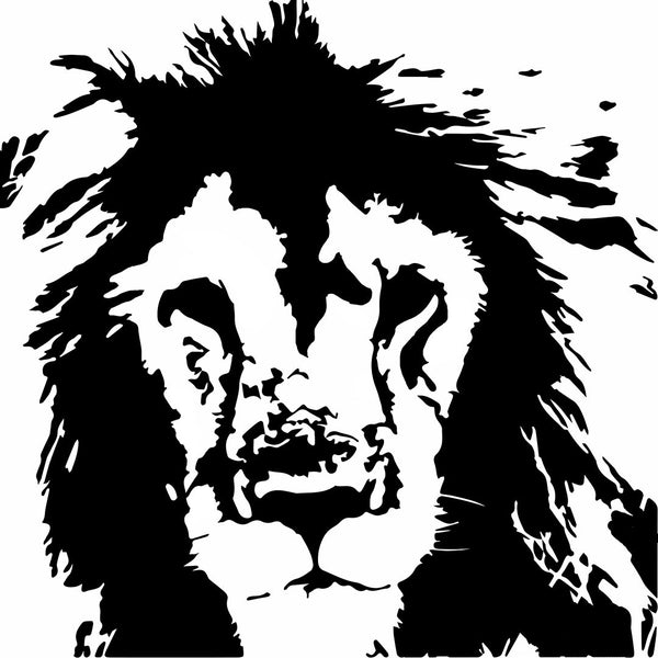 Wildlife Prints & Fauna Art on Canvas