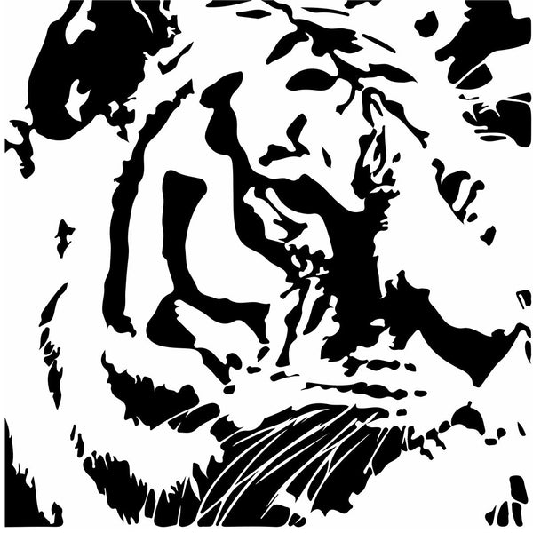 Wildlife Prints & Fauna Art on Canvas