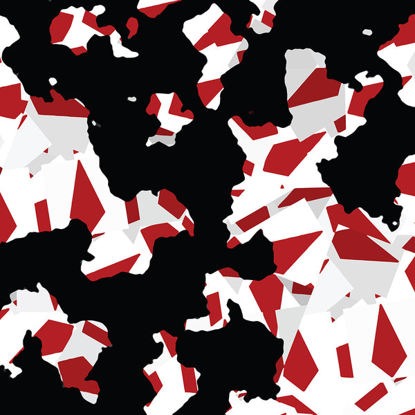 Red, Black & White Canvas Art