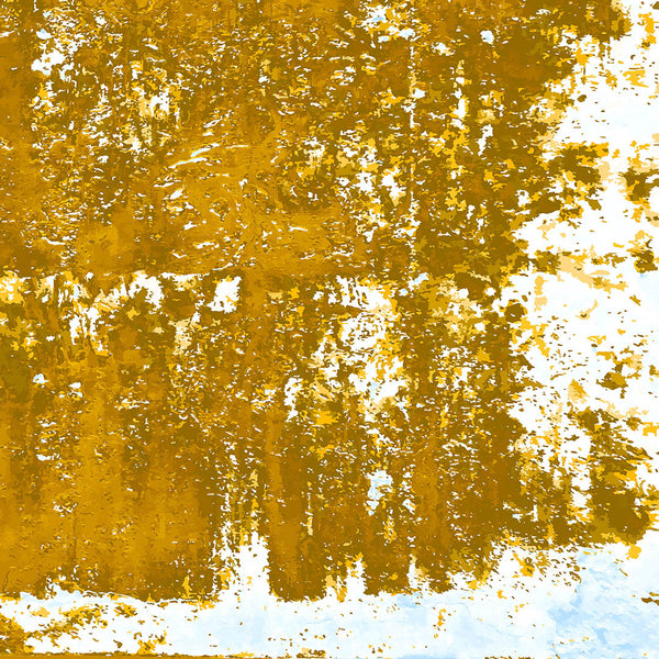 Fine Art Canvas Print