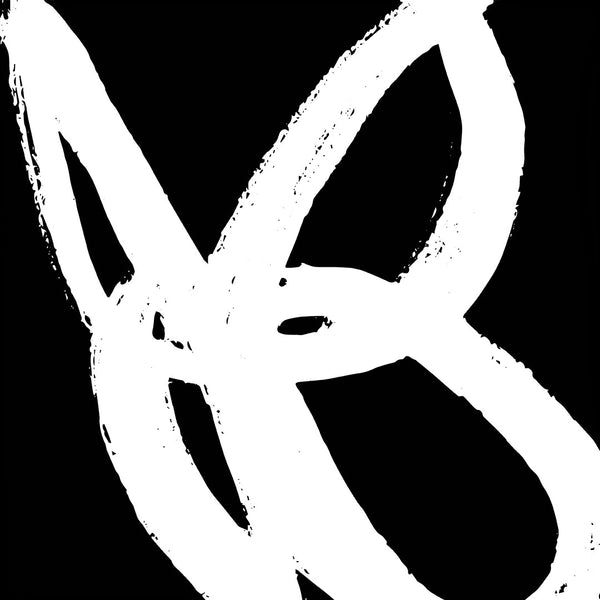 Black & White Canvas Art